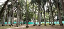 El Parque Central tendrá un segundo aire en el 2020