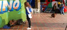 Cali es la ciudad con la ruta de intervención humanitaria para migrantes más completa del país