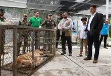  León Jupiter