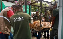 Así transcurrió la jornada de regreso a casa de “Júpiter”