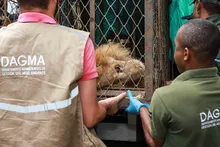 Así transcurrió la jornada de regreso a casa de “Júpiter”