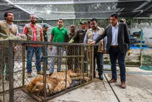 Así transcurrió la jornada de regreso a casa de “Júpiter”
