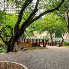Nuevo puente en el corazón del arte caleño