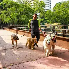Nuevo puente en el corazón del arte caleño