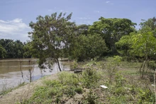 Rio Cauca
