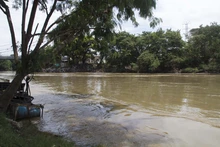 Rio Cauca