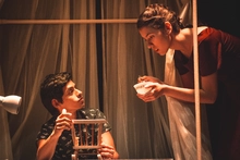 Festival de Teatro 2020 da a conocer versión prelimimar del reglamento y proceso de postulados