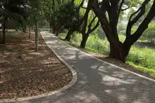 Puente peatonal Museo la Tertulia - Casa Obeso