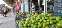 Cavasa garantiza 4.257 toneladas de alimentos para los caleños