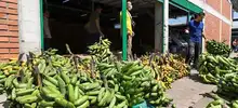 Cavasa garantiza 4.257 toneladas de alimentos para los caleños
