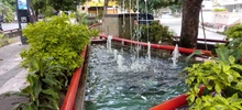 Las fuentes ornamentales, un patrimonio que se debe conservar y proteger