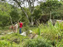 Infraestructura participa en la prevención de nuevas invasiones