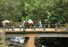 AYUDAS ALIMENTARIAS LLEGARON HASTA LA ZONA RURAL DE LA CALEÑIDAD