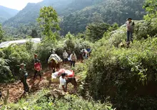 AYUDAS ALIMENTARIAS LLEGARON HASTA LA ZONA RURAL DE LA CALEÑIDAD