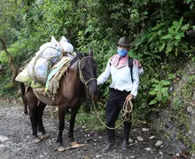 AYUDAS ALIMENTARIAS LLEGARON HASTA LA ZONA RURAL DE LA CALEÑIDAD