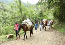 AYUDAS ALIMENTARIAS LLEGARON HASTA LA ZONA RURAL DE LA CALEÑIDAD