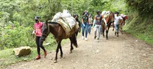 mercados