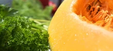 seguridad alimentaria