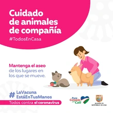 Recomendaciones para cuidar los animales de compañía en tiempos de pandemia