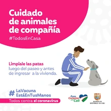 Recomendaciones para cuidar los animales de compañía en tiempos de pandemia