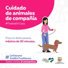 Recomendaciones para cuidar los animales de compañía en tiempos de pandemia