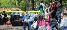 Gracias al corredor humanitario, retornaron 217 venezolanos a su país