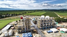Riopaila Castilla dona 20 mil litros de alcohol a la Alcaldía de Cali para emergencia por COVID-19