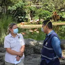 Alcaldía, Dagma y CVC, comprometidos con el Zoológico de Cali