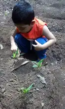 Un proyecto de huerta escolar forma conciencia ambiental en tiempos de confinamiento