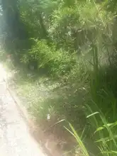 Recolección de escombros se realizó con éxito en el sector de La Luisa