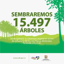 En el marco del ‘Día del Árbol’, Infraestructura sembrará 27205 especies