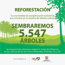 En el marco del ‘Día del Árbol’, Infraestructura sembrará 27205 especies