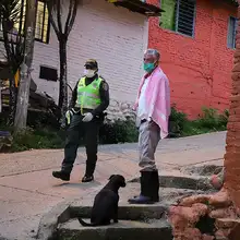 Animales también necesitan solidaridad de los caleños en tiempos de cuarentena