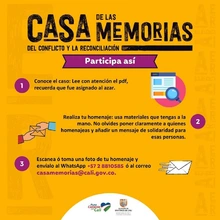 Paso a paso