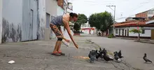 Intervención desde zoonosis en el barrio Bretaña. Castración de gatos
