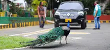 Donaciones bioseguridad para atención adulto mayo