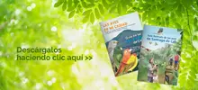 Libro y guía de aves de Cali