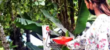 Alejandría, un paraíso en el corazón verde de Cali 