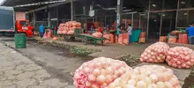 Hemos tenido un abastecimiento óptimo: Cavasa