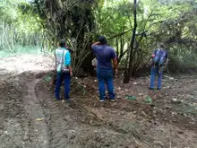 DAGMA detiene actividad que causaría daño ambiental  