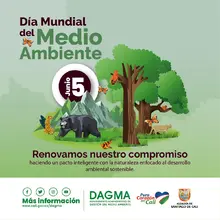Día de ambiente