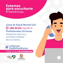 Salud mental en casa