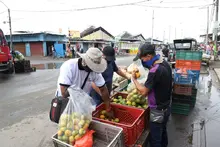 Optimismo en comerciantes de Santa Elena por intervención en la plaza de mercado