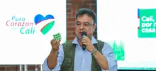 Plan de Desarrollo 2020