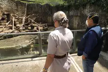 “A partir del domingo, el Zoológico de Cali está abierto”: Jorge Iván Ospina