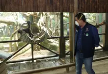 “A partir del domingo, el Zoológico de Cali está abierto”: Jorge Iván Ospina