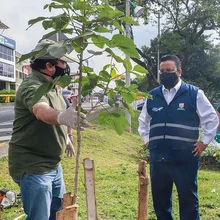 Sembrando Amor por Cali, la primera jornada de embellecimiento ambiental y paisajístico