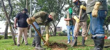 Sembrando Amor por Cali, la primera jornada de embellecimiento ambiental y paisajístico