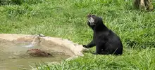 El zoológico de Cali, abierto para toda la caleñidad