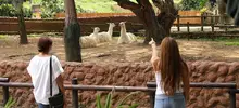 El zoológico de Cali, abierto para toda la caleñidad
